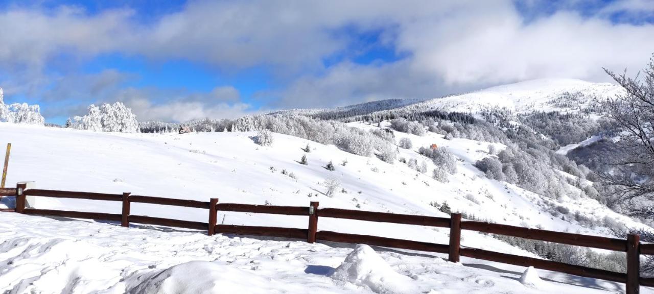 Vikendica Vila Despotovic Villa Kopaonik Eksteriør bilde