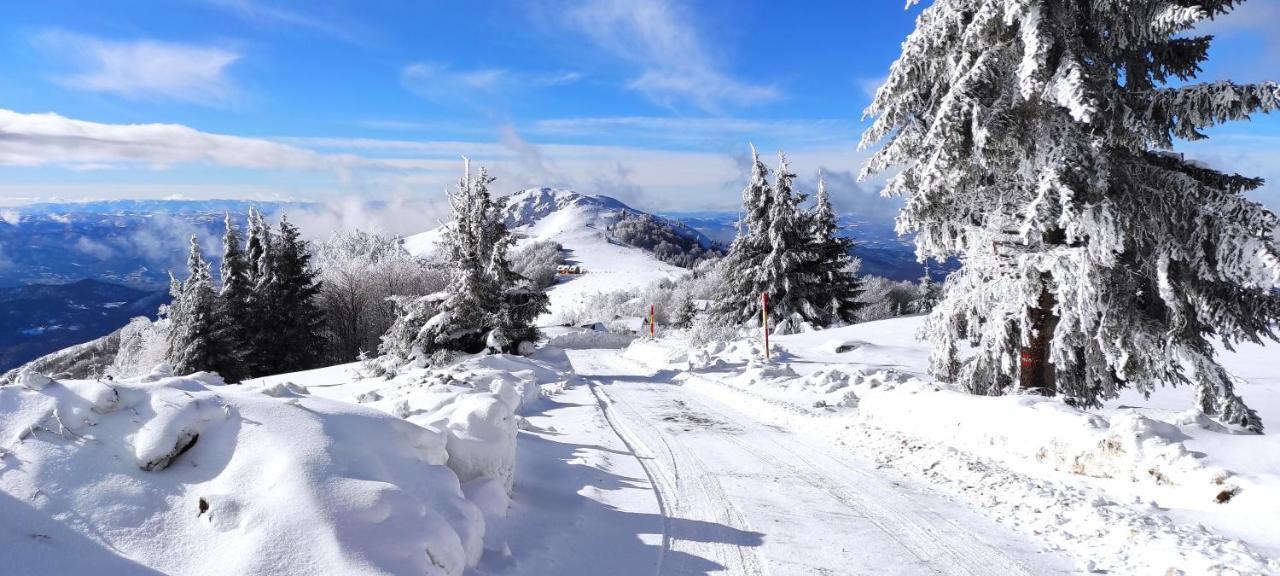 Vikendica Vila Despotovic Villa Kopaonik Eksteriør bilde