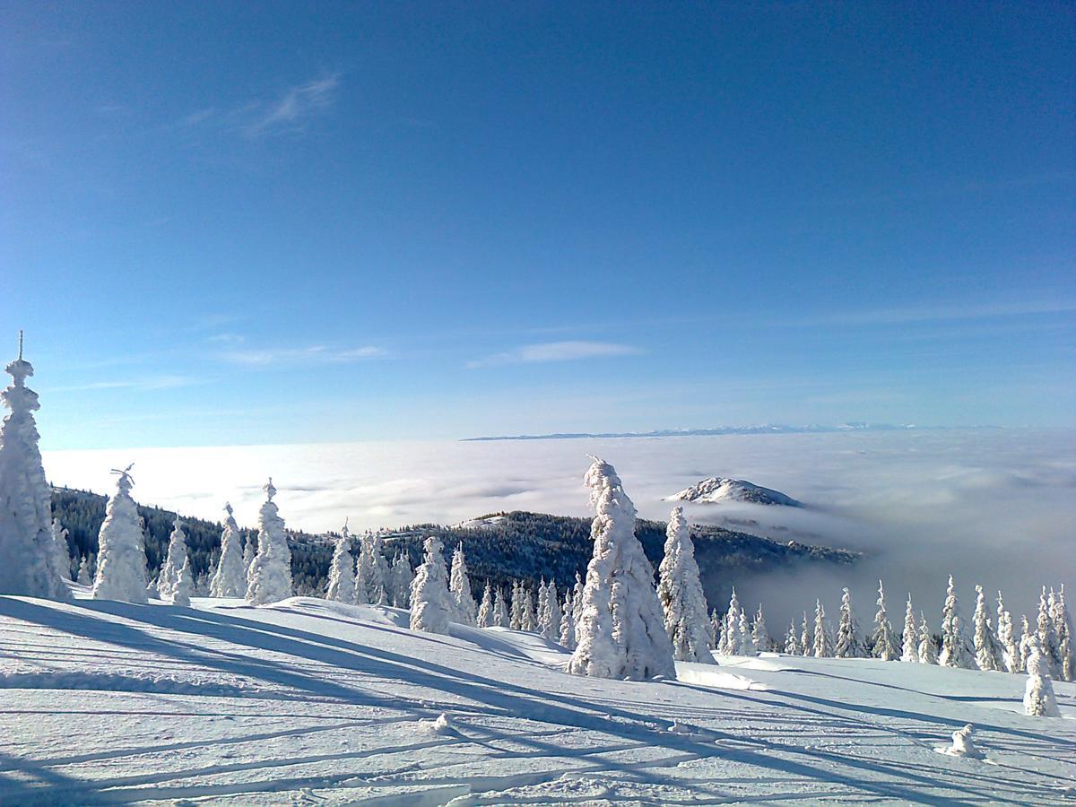 Vikendica Vila Despotovic Villa Kopaonik Eksteriør bilde