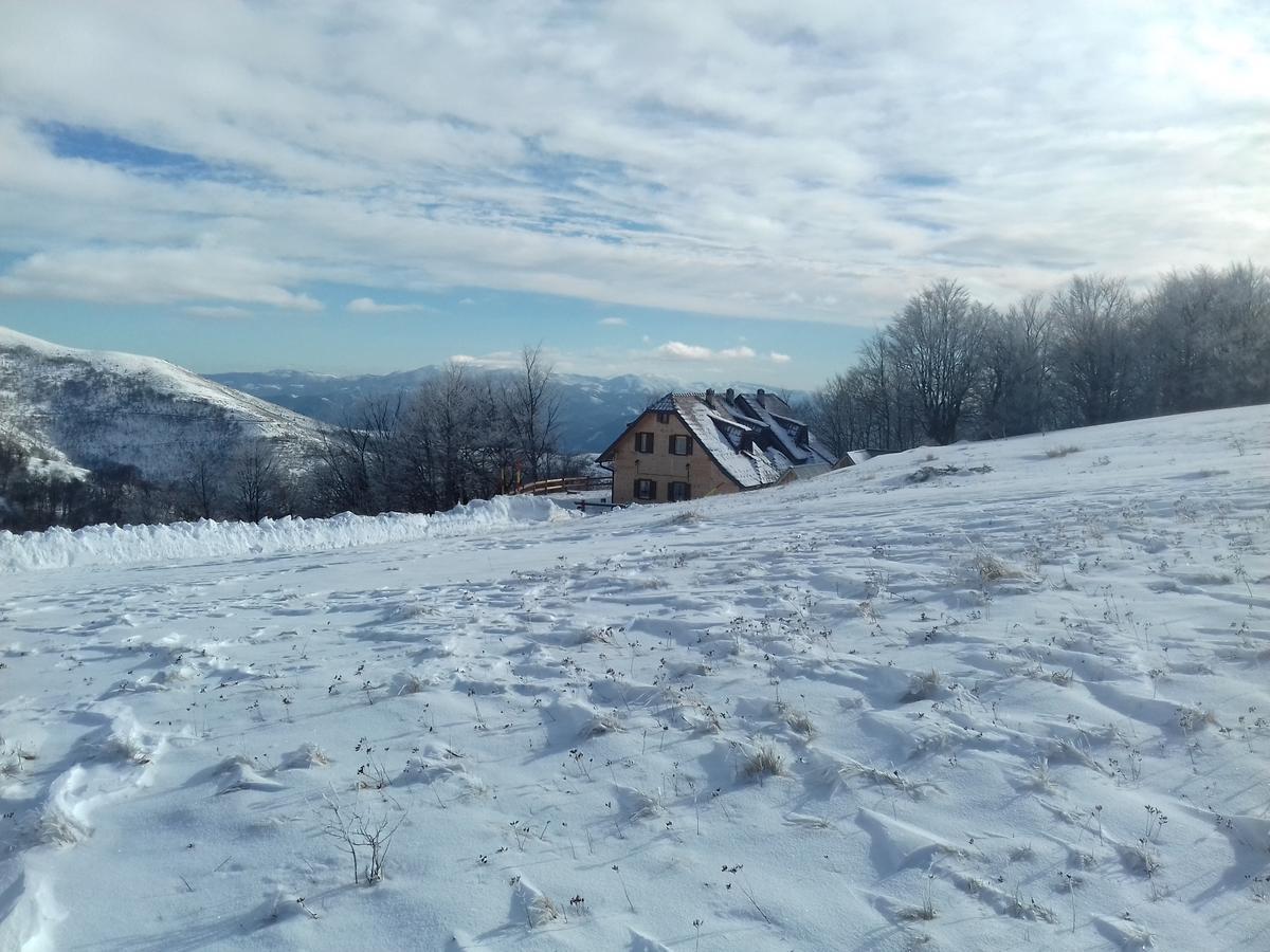 Vikendica Vila Despotovic Villa Kopaonik Eksteriør bilde