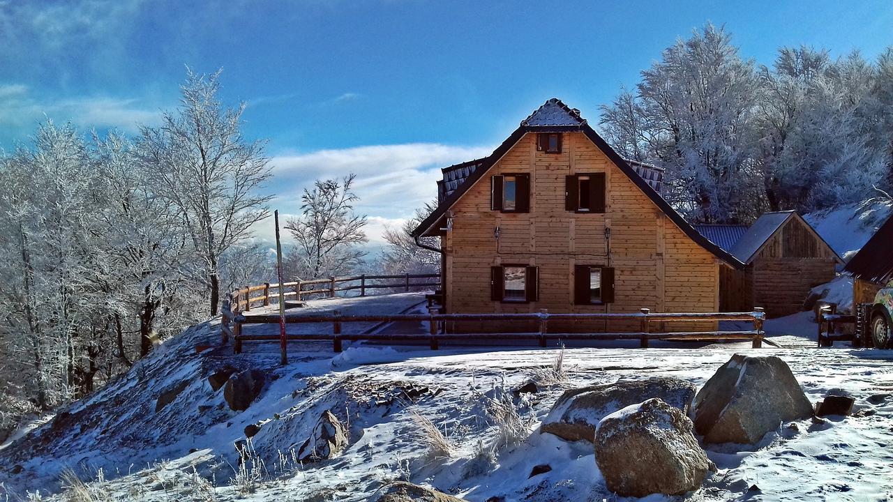 Vikendica Vila Despotovic Villa Kopaonik Eksteriør bilde