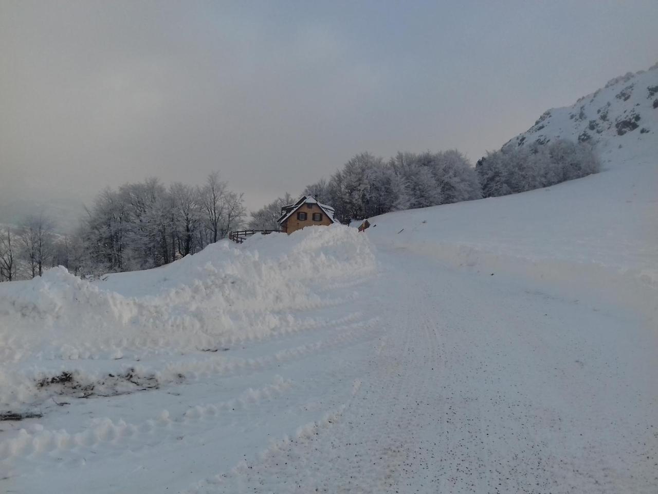 Vikendica Vila Despotovic Villa Kopaonik Eksteriør bilde